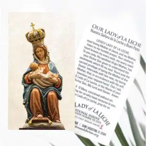 Our Lady of La Leche Paper Prayer Card English