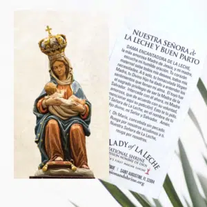 Our Lady of La Leche Prayer Cards Spanish 12 pk.